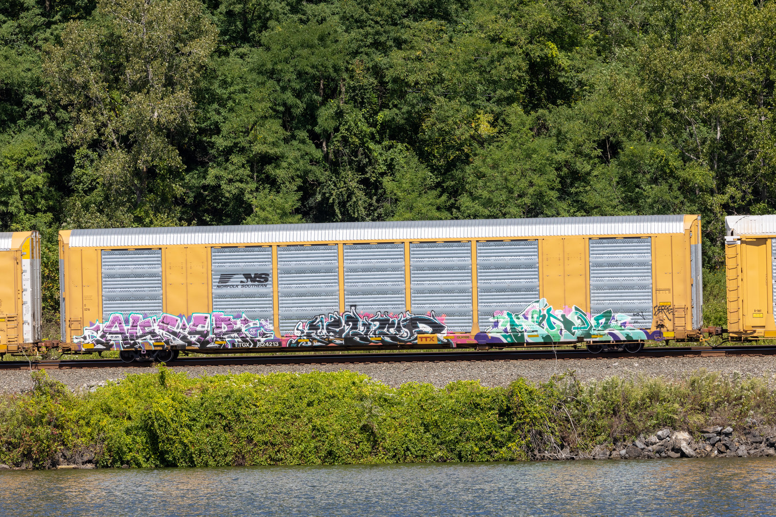 TTGX 824213