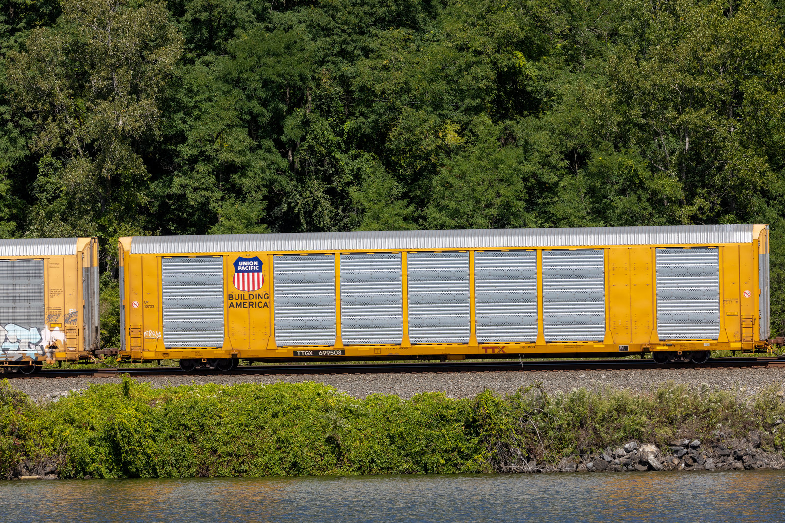 TTGX 699508