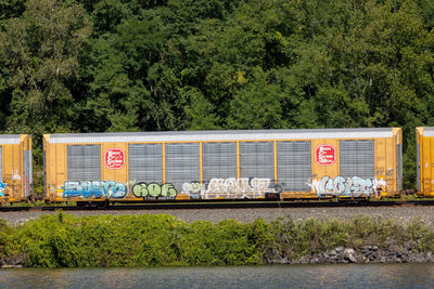 TTGX 696653