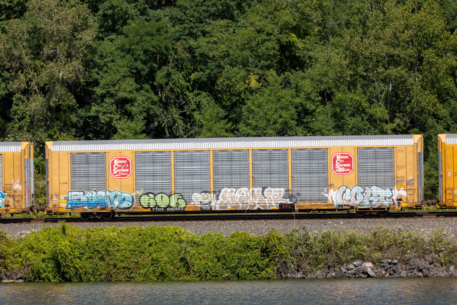 TTGX 696653