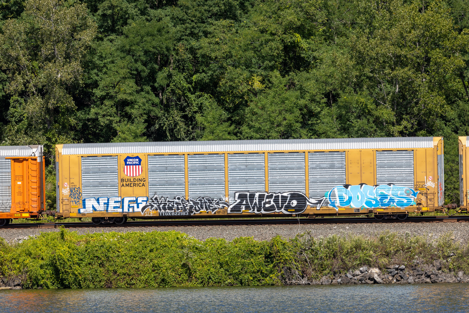 TTGX 822183