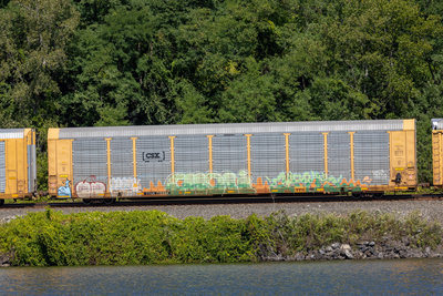 TTGX 715994