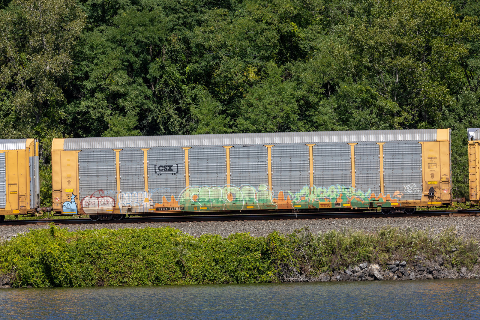 TTGX 715994