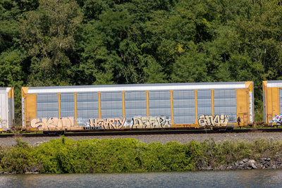 TTGX 717260