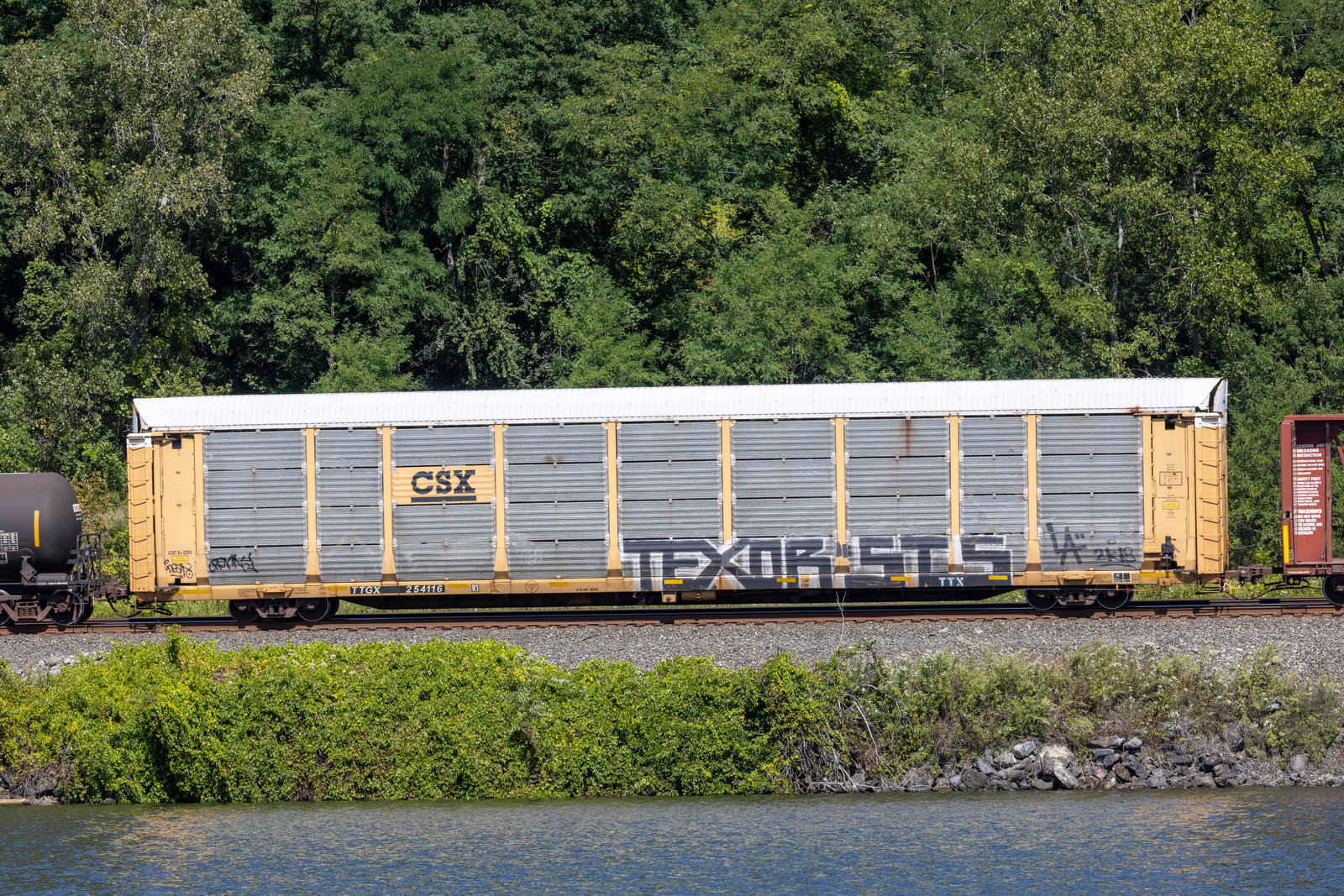 TTGX 254116