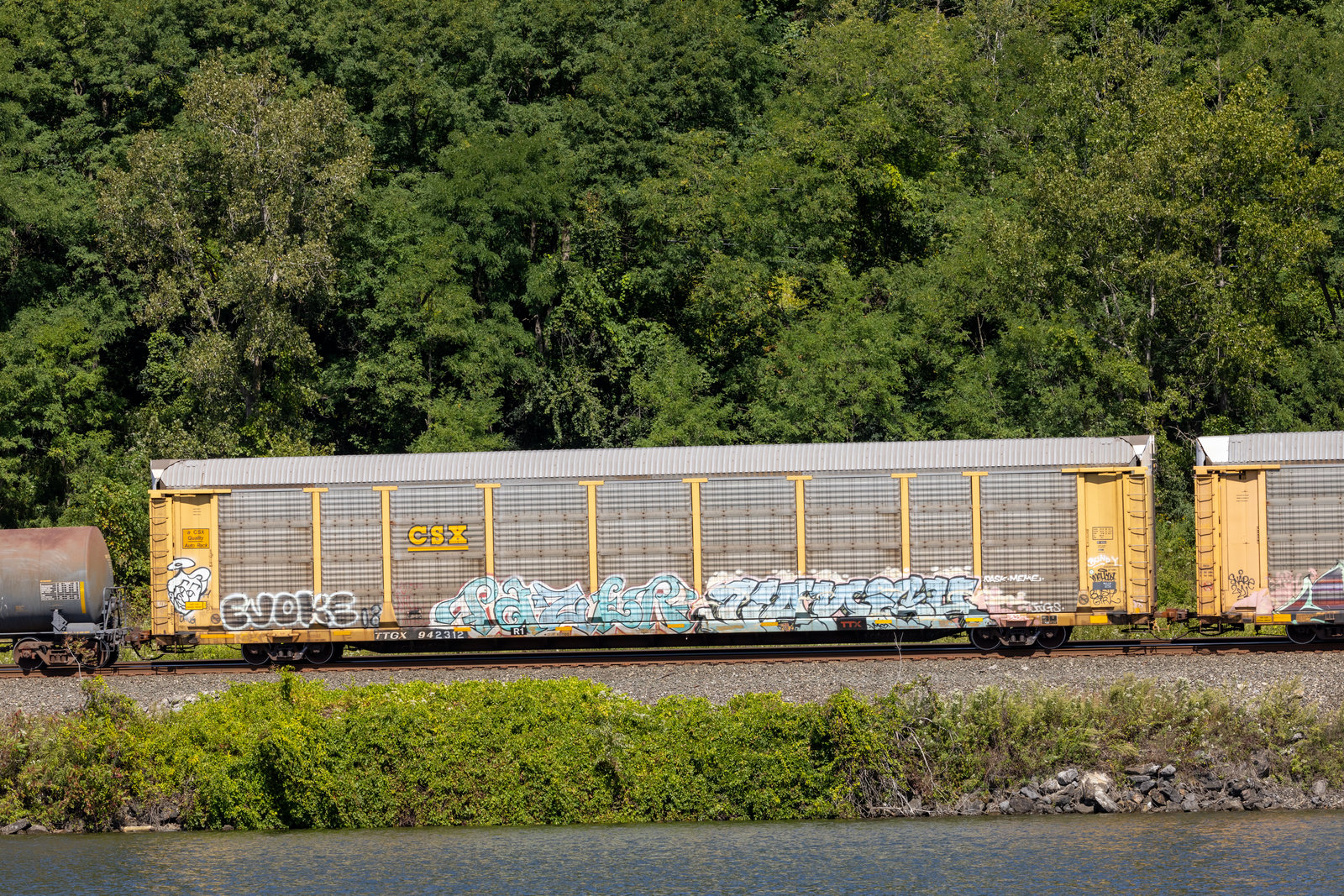 TTGX 942312