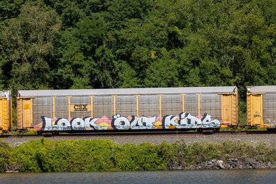 TTGX 979449