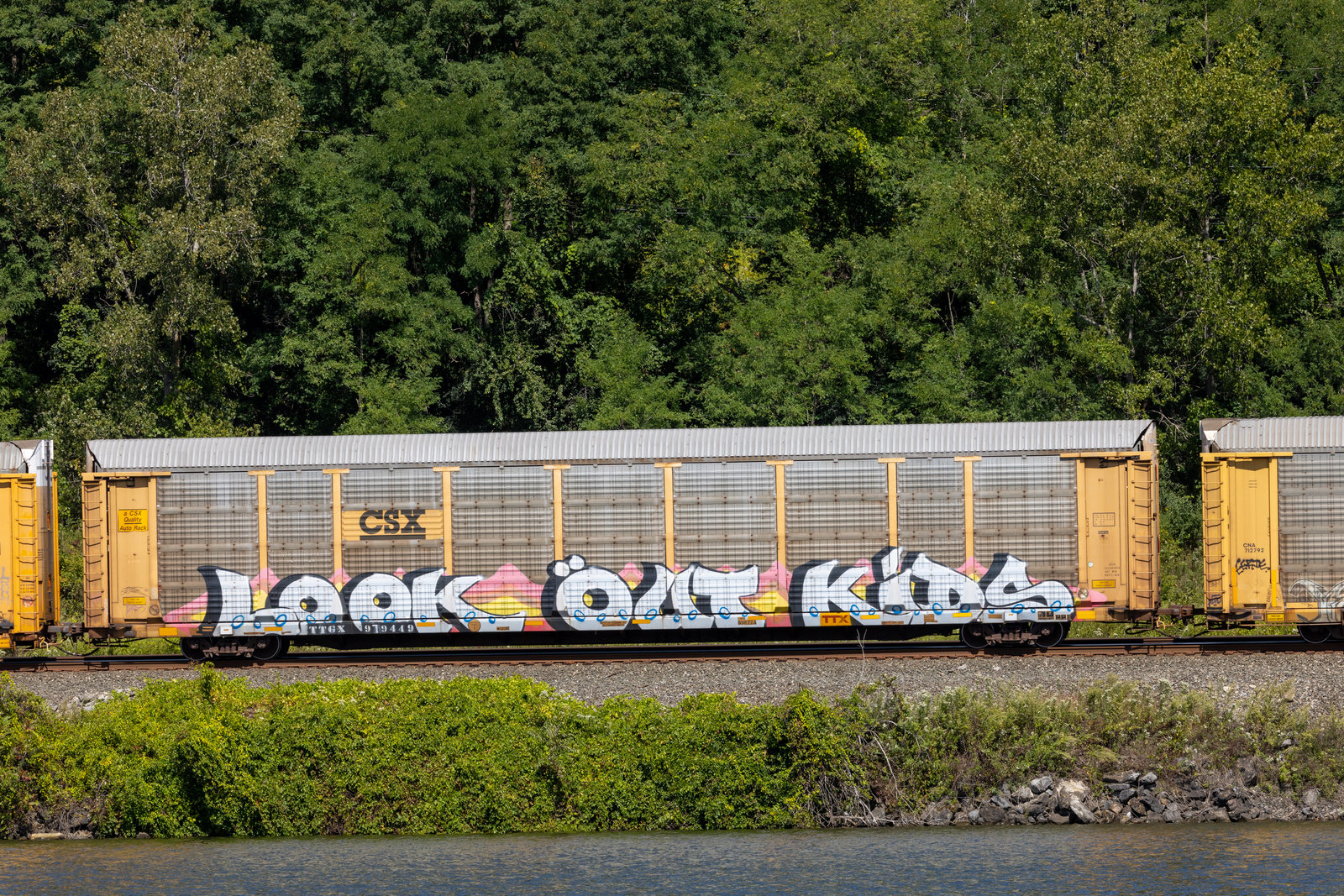 TTGX 979449