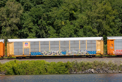 TTGX 965782
