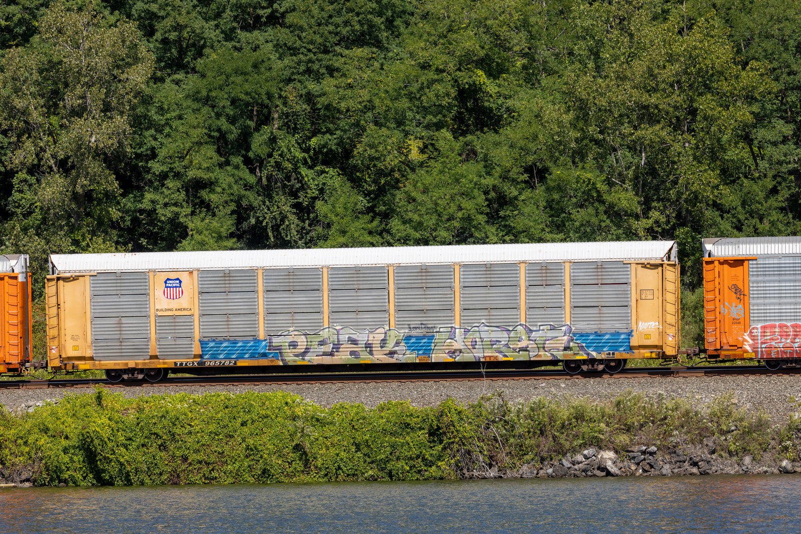 TTGX 965782