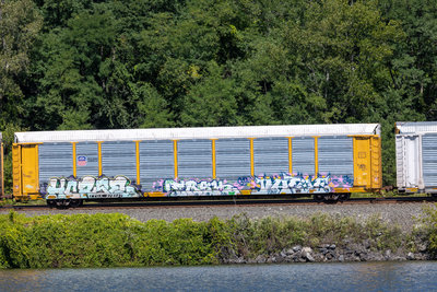 TTGX 979147