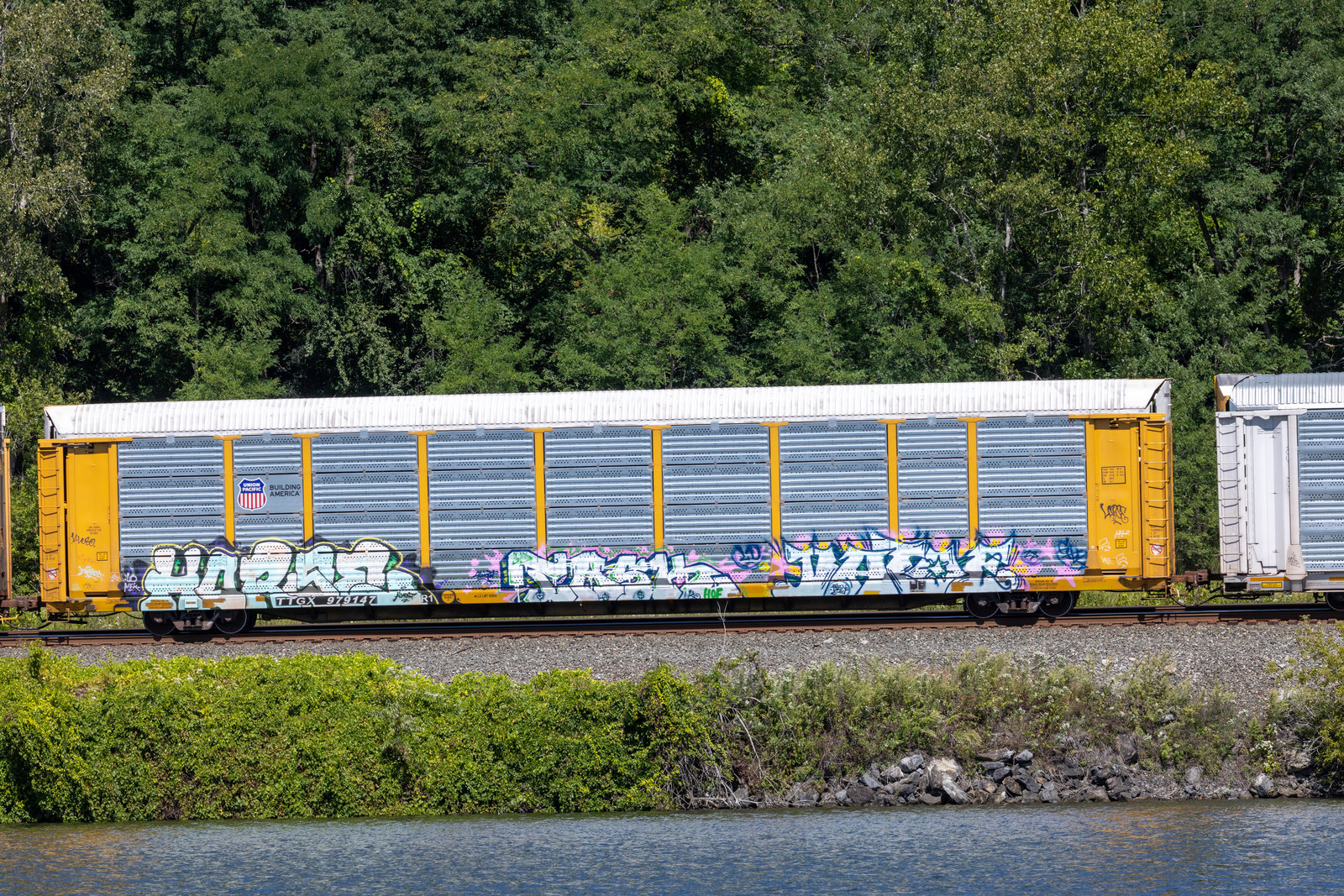 TTGX 979147