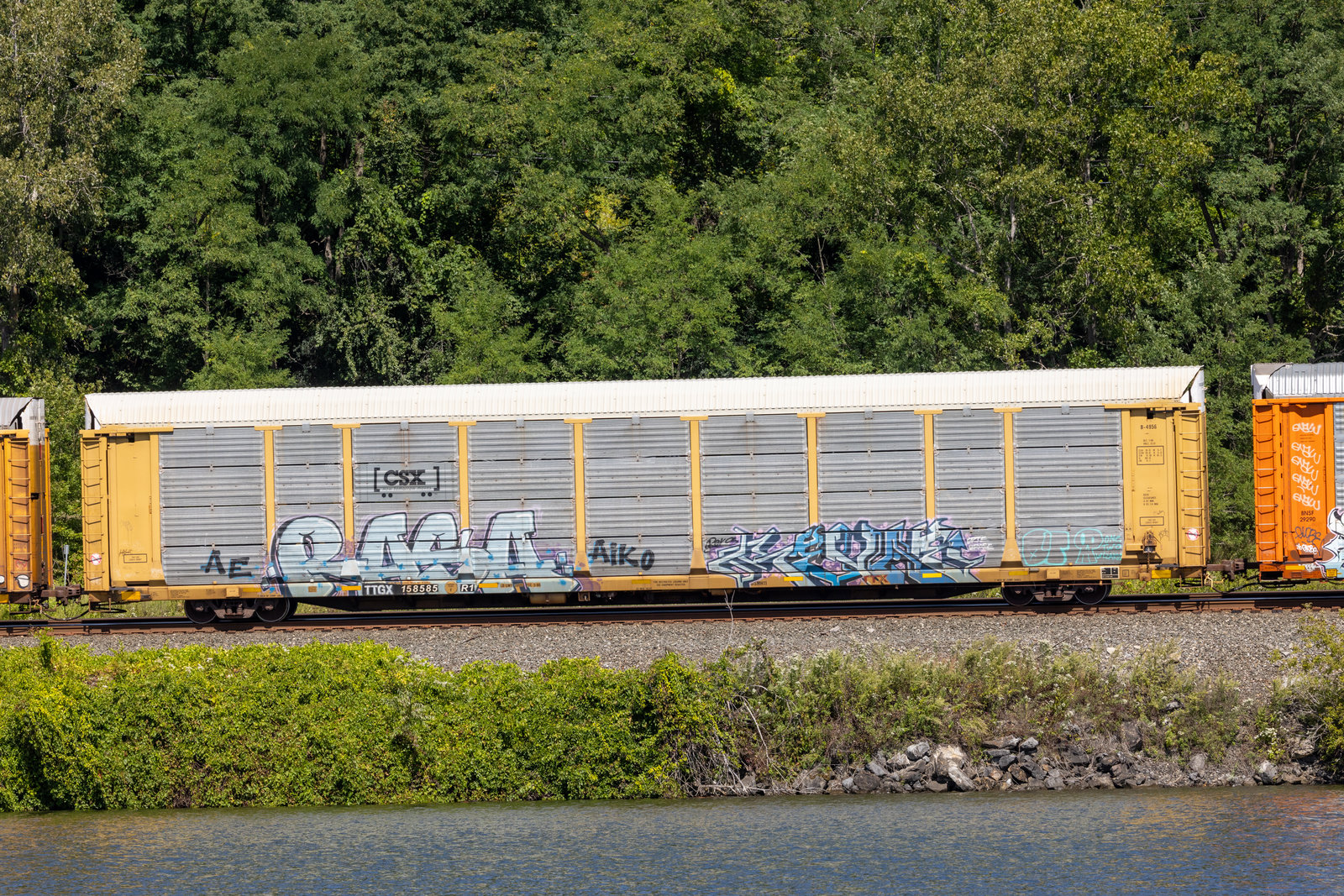 TTGX 158585