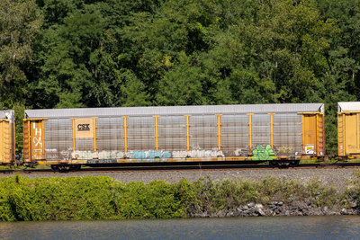 TTGX 991753