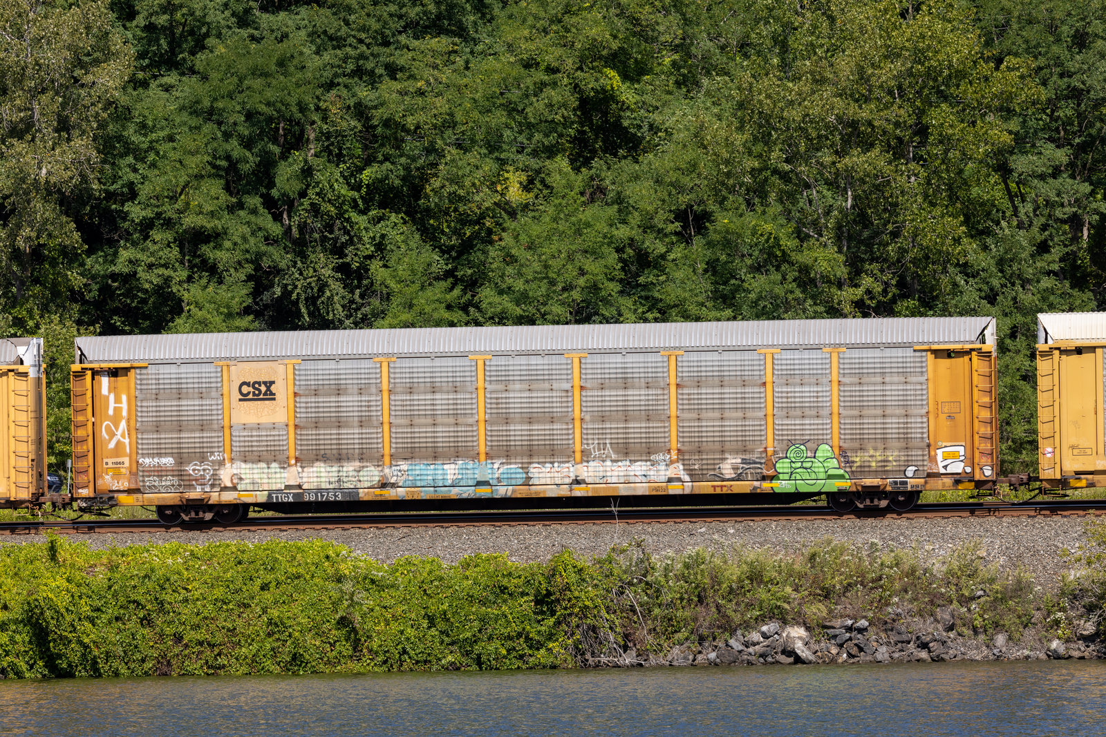 TTGX 991753