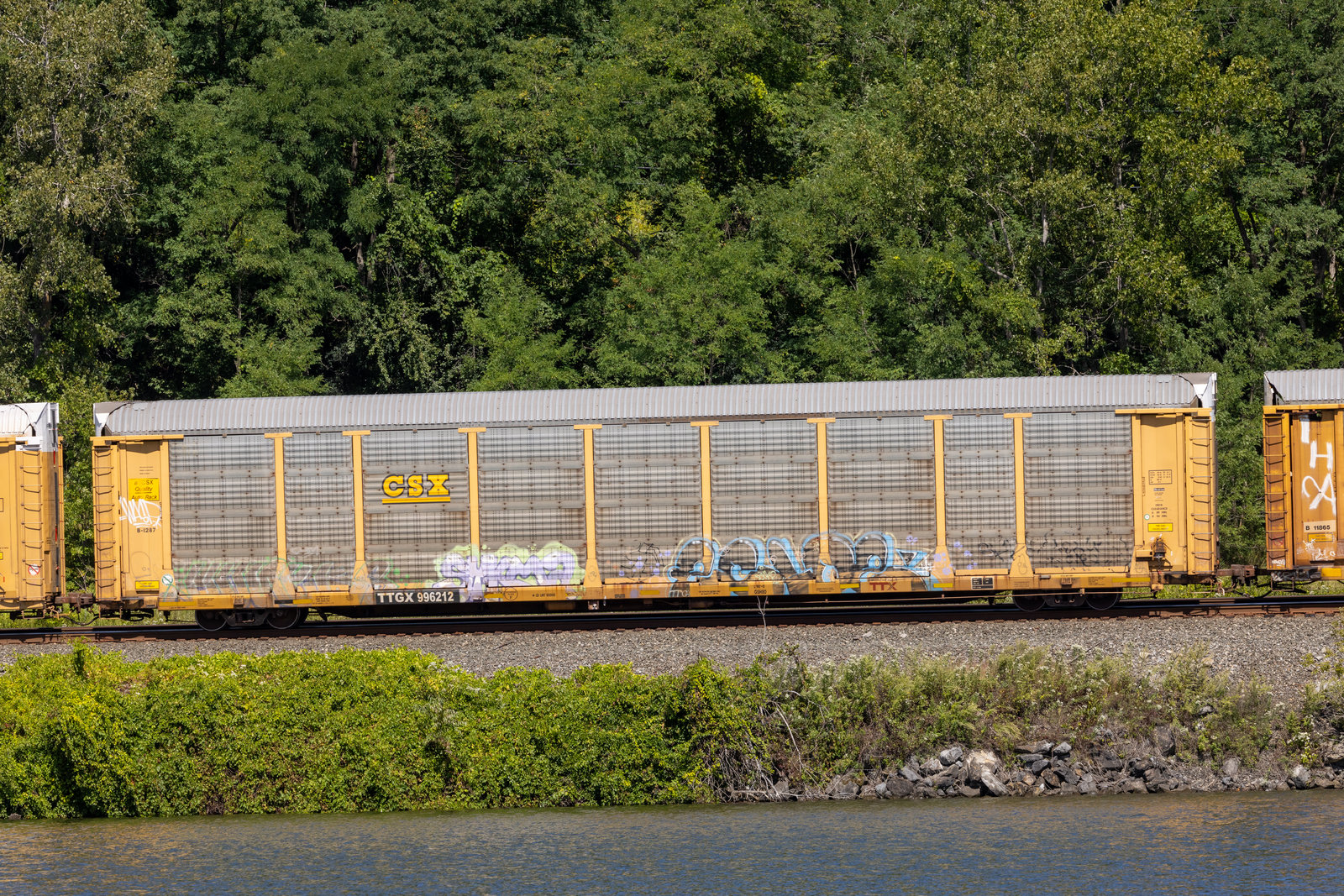 TTGX 996212