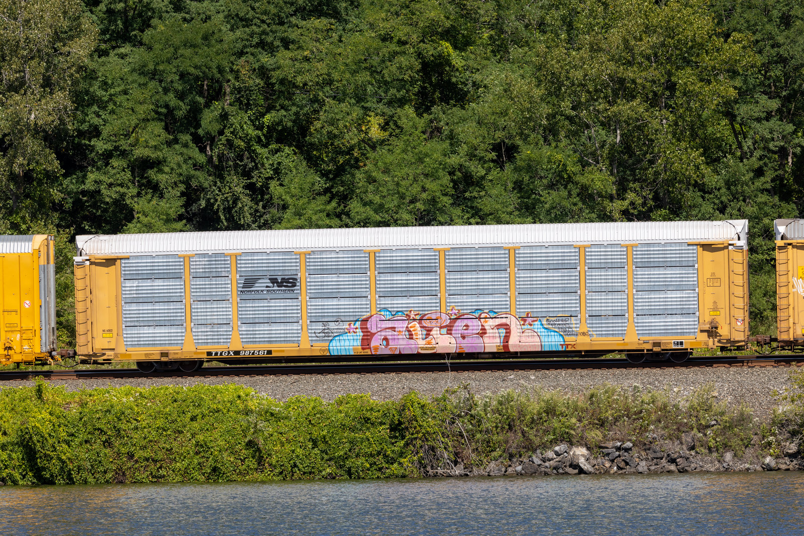 TTGX 987561