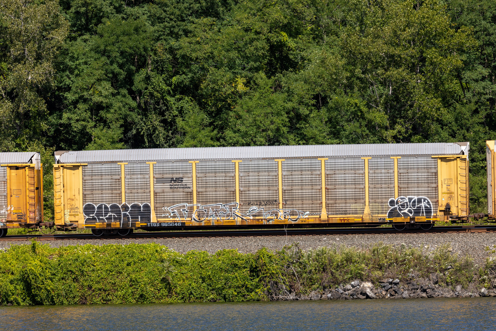 TTGX 985646