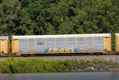 TTGX 158335