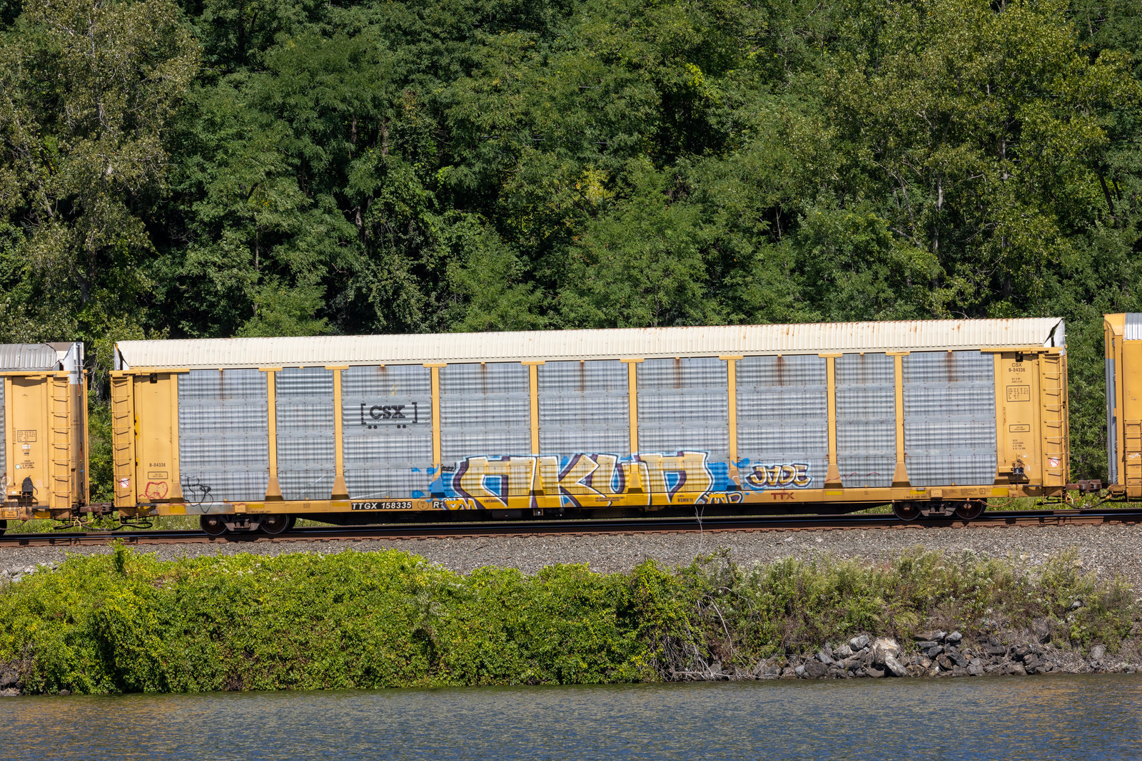 TTGX 158335