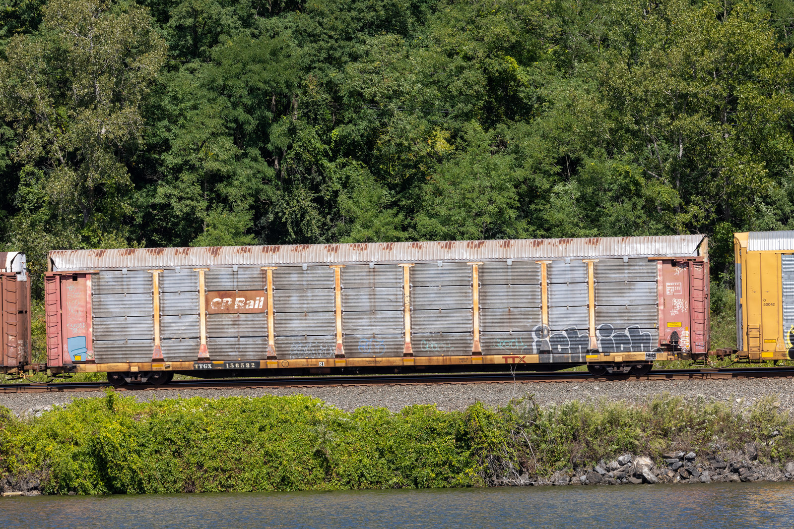 TTGX 156582