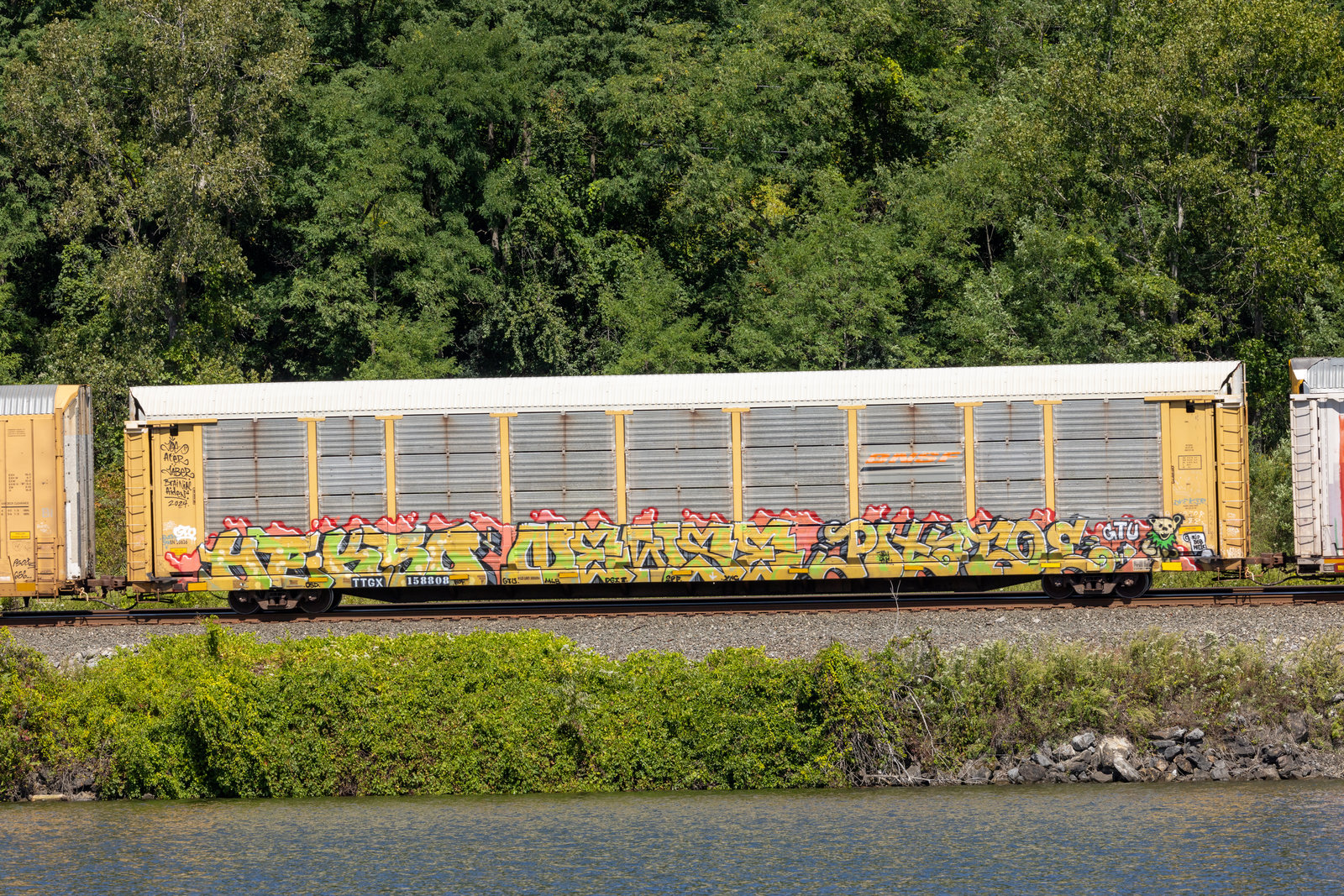 TTGX 158808