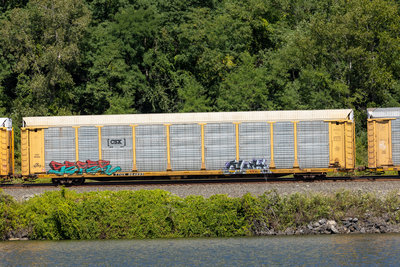 TTGX 964895