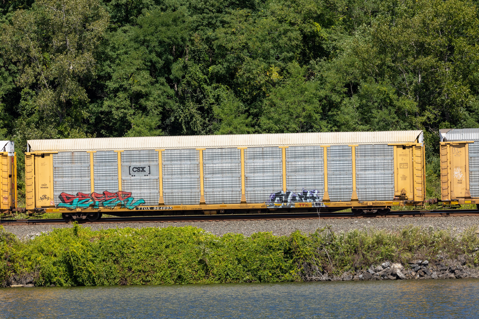 TTGX 964895