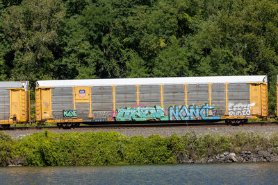 TTGX 965103