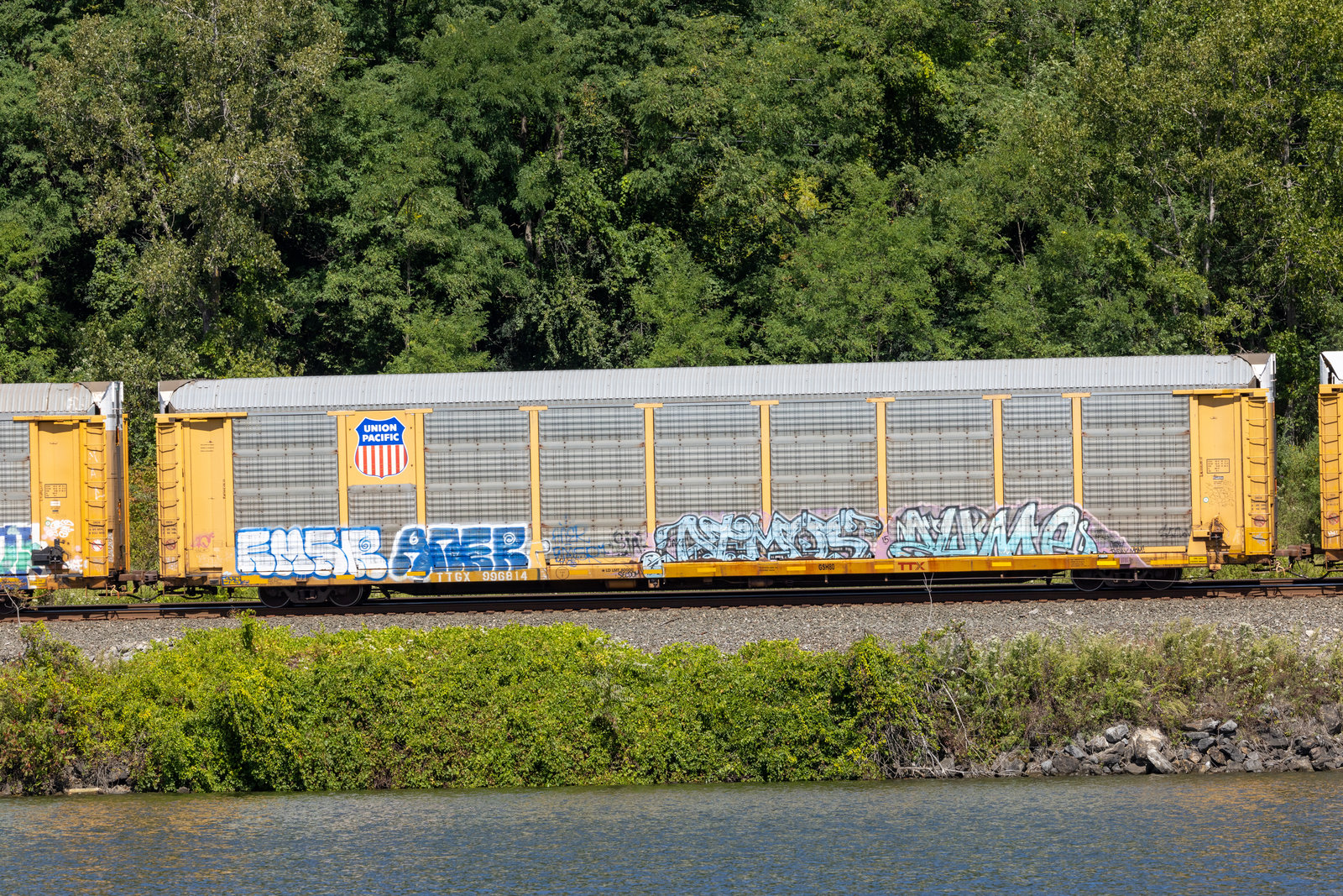 TTGX 996814