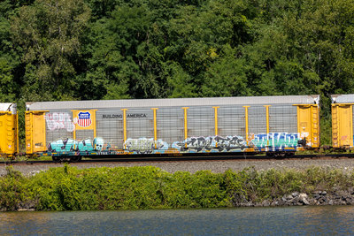 TTGX 975857