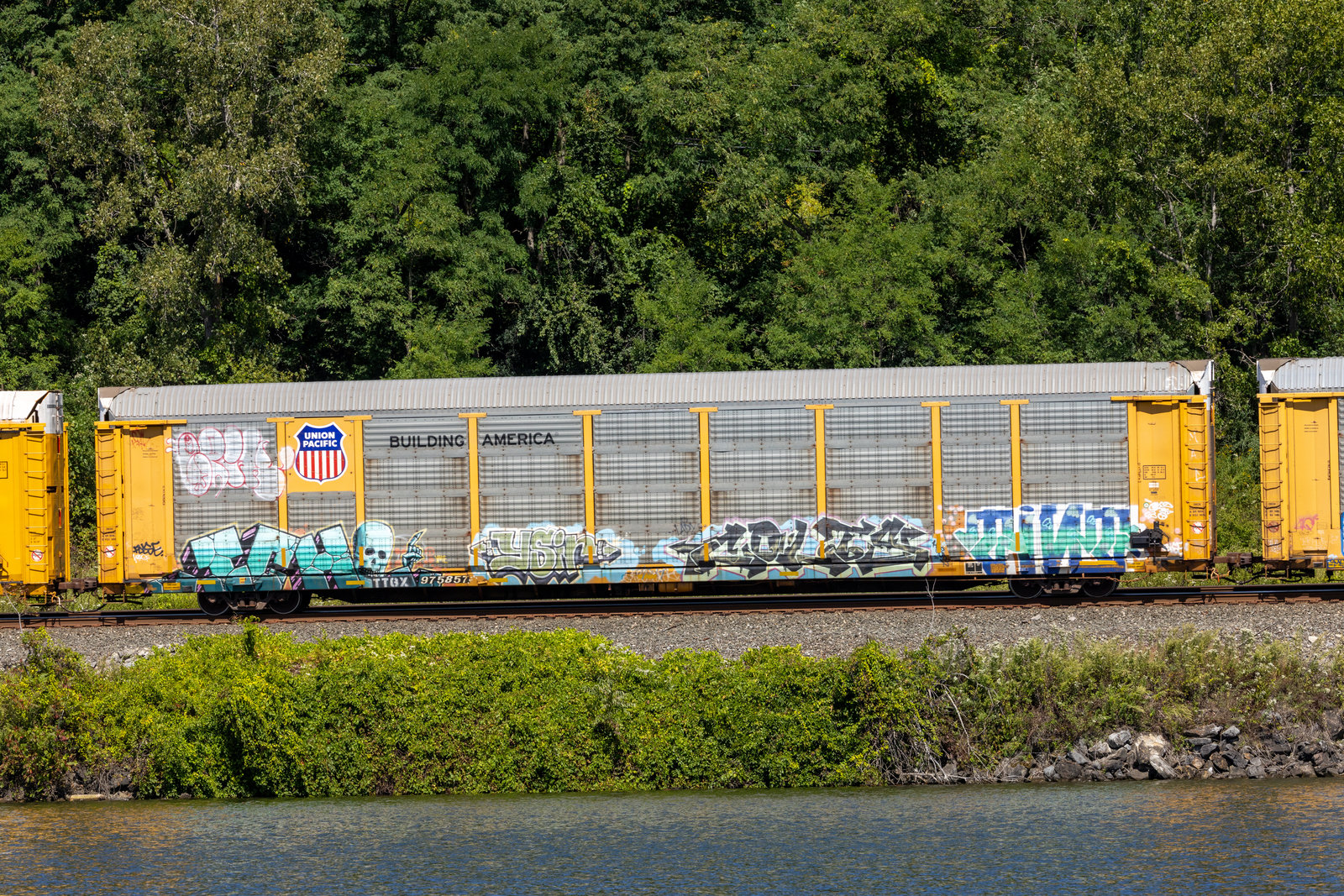 TTGX 975857