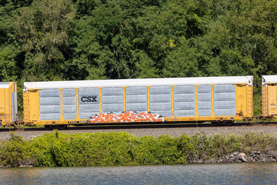 TTGX 988274