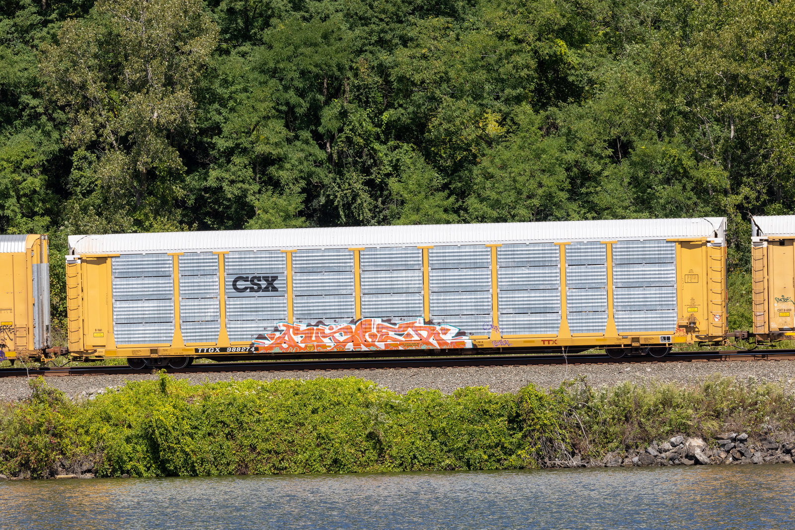 TTGX 988274
