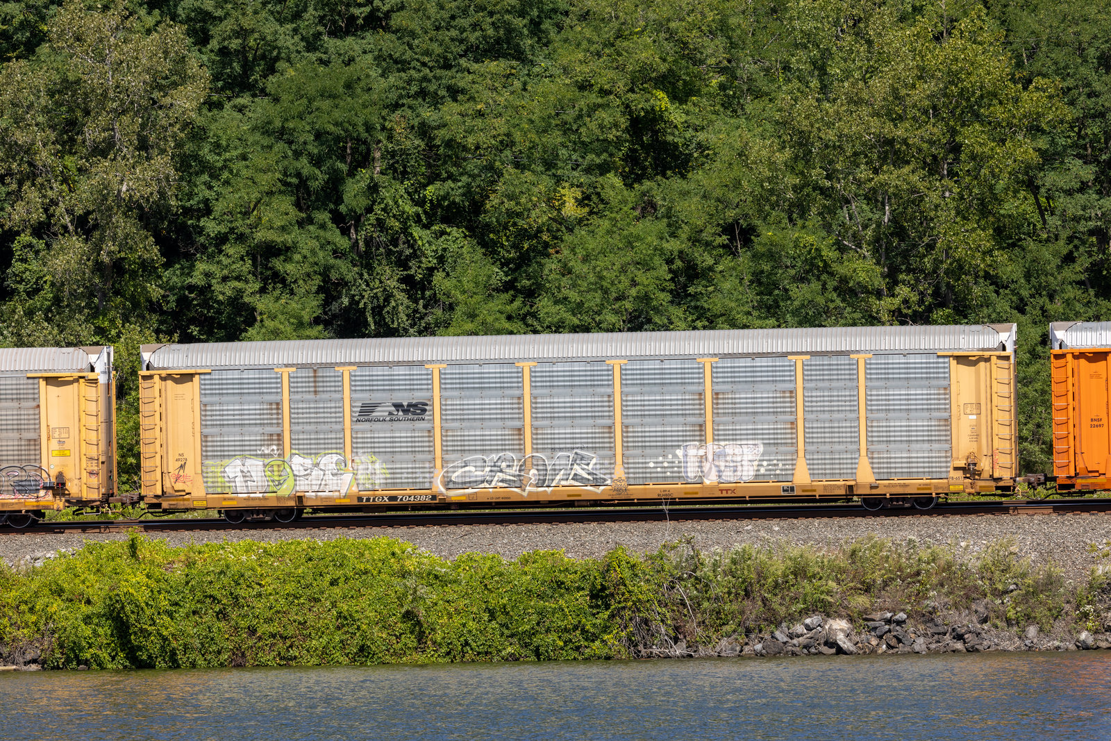 TTGX 704382