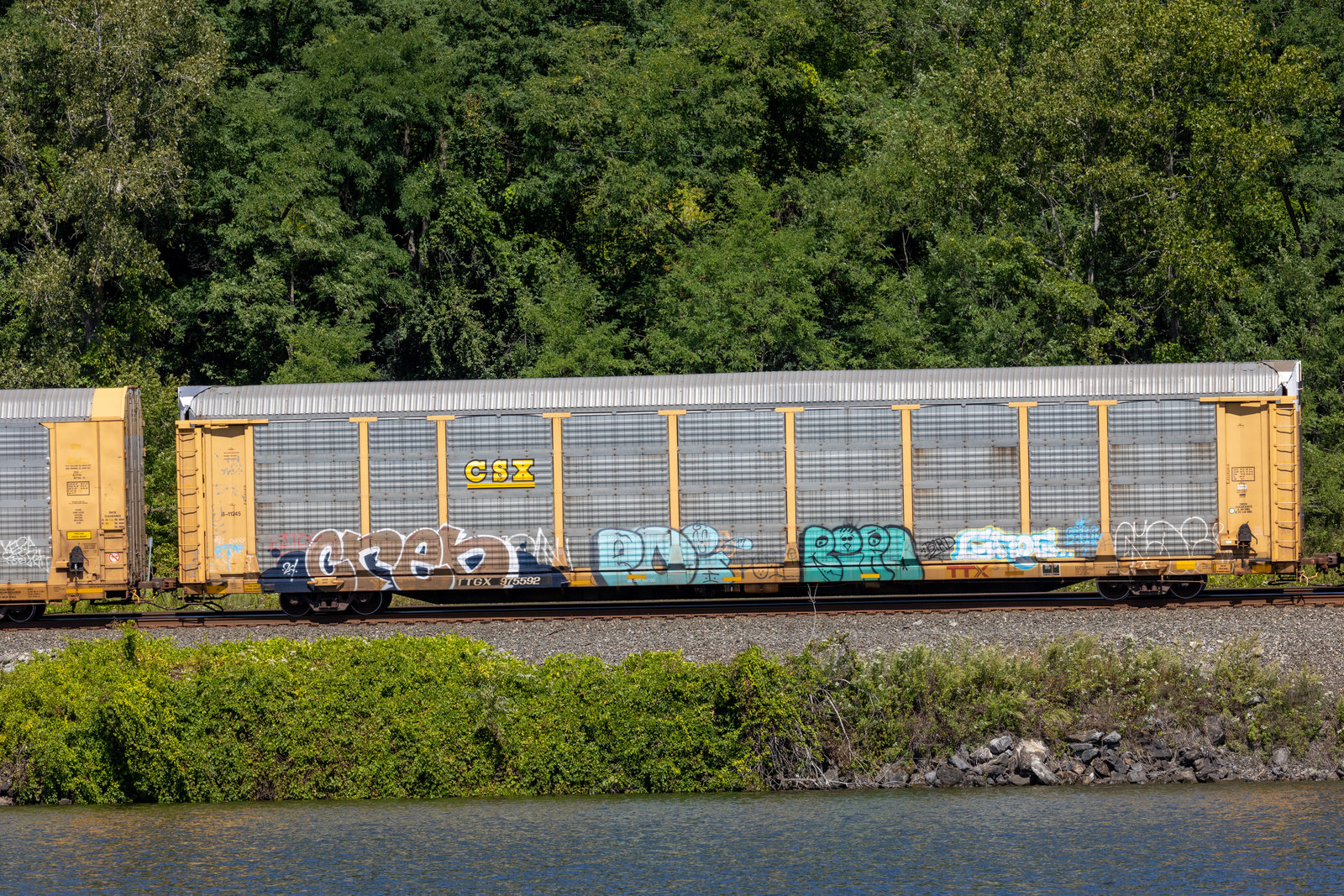 TTGX 975592