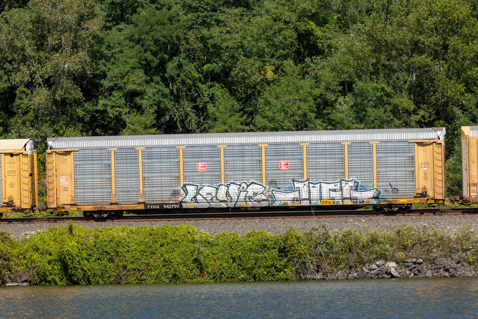 TTGX 942791