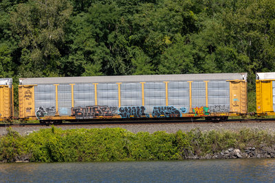 TTGX 993140
