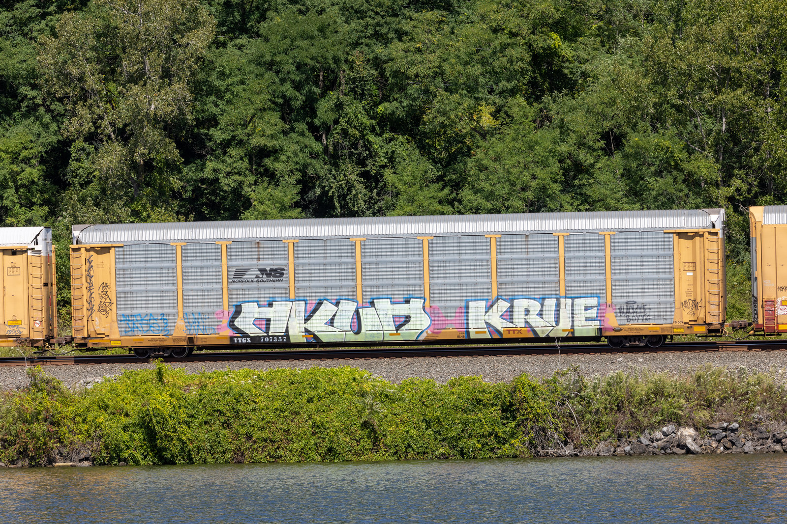 TTGX 707357