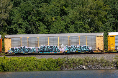 TTGX 851203