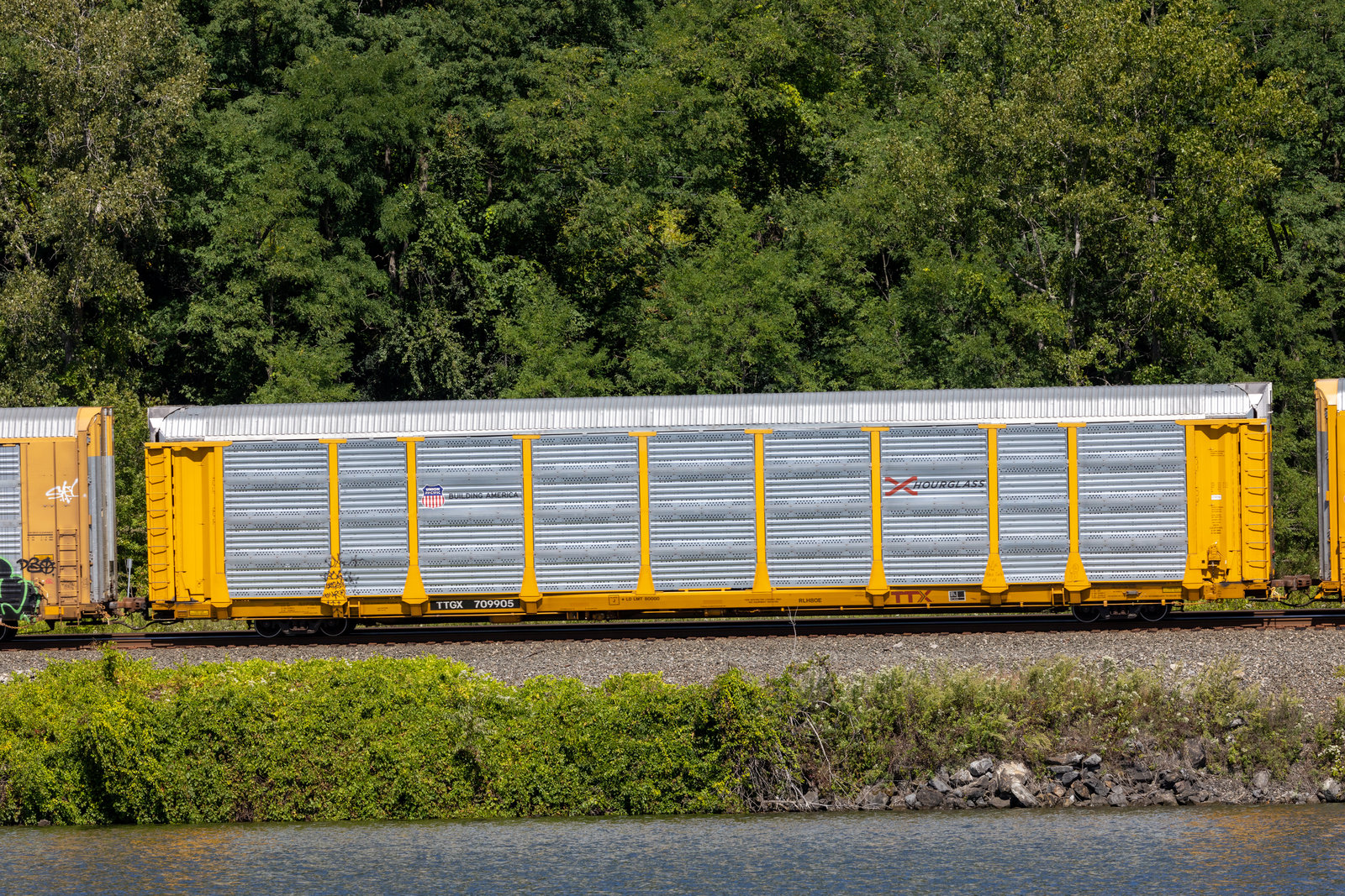 TTGX 709905