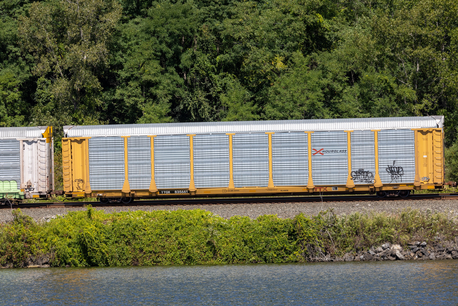TTGX 835661