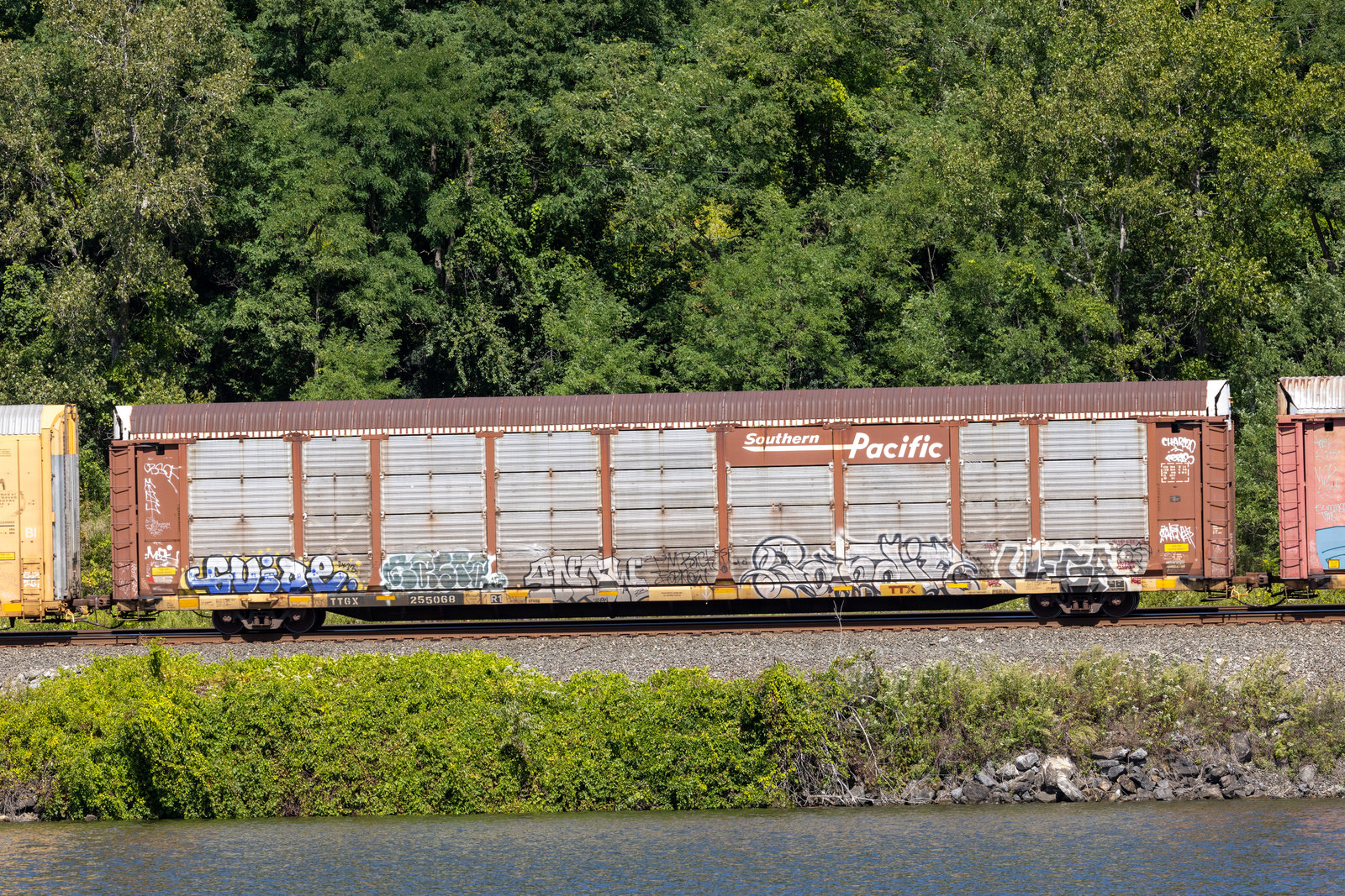TTGX 255068