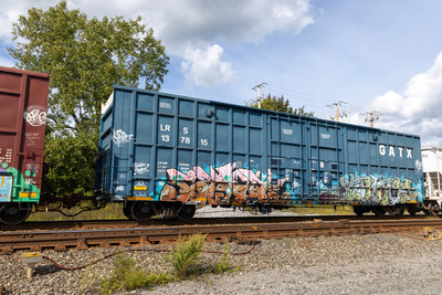 LRS 137815