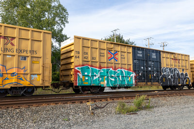 TBOX 644282