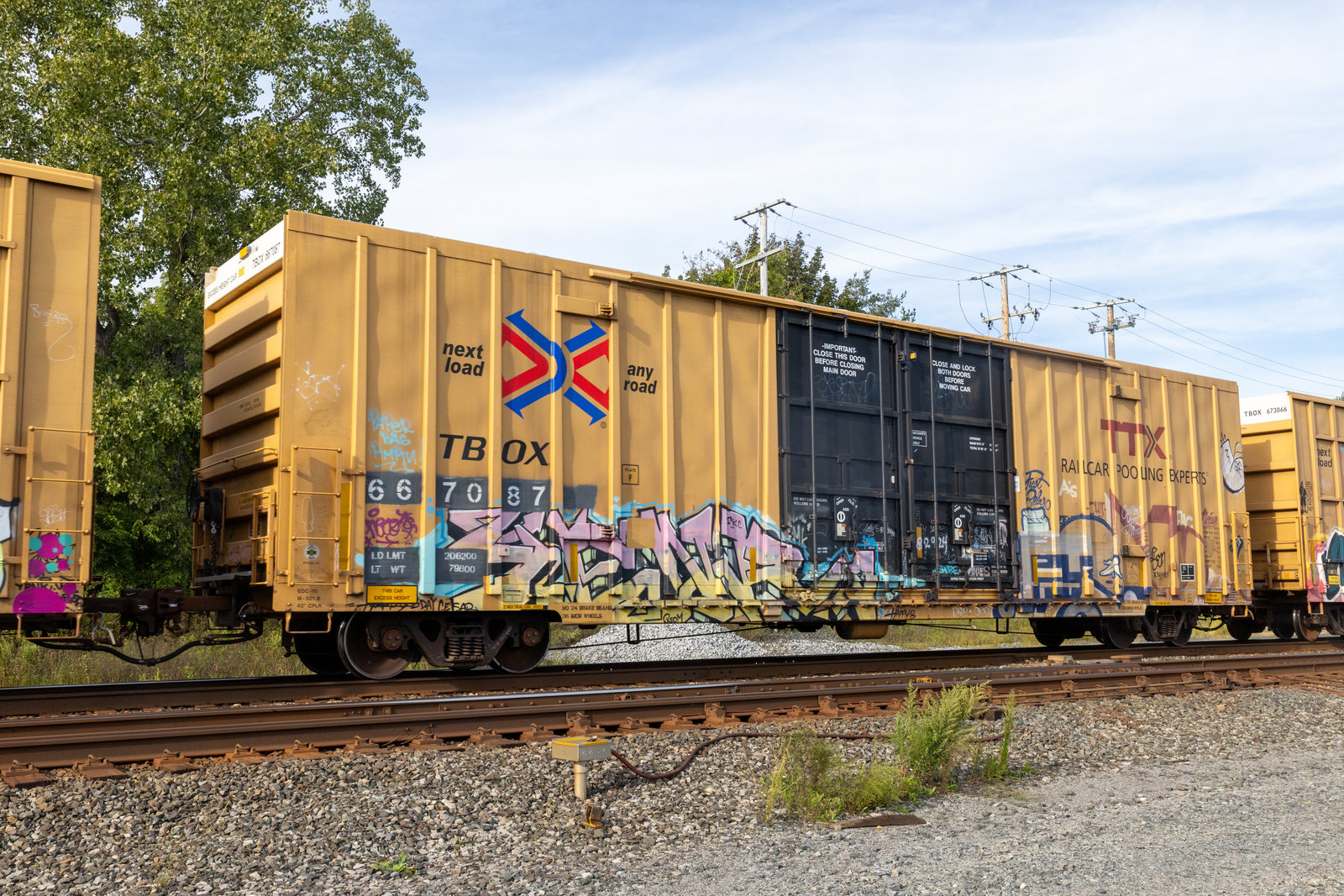 TBOX 667087