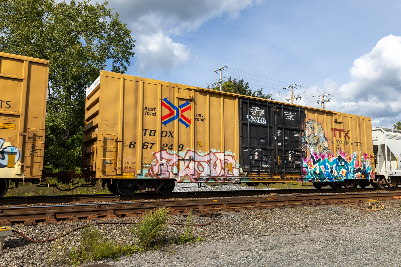 TBOX 667249