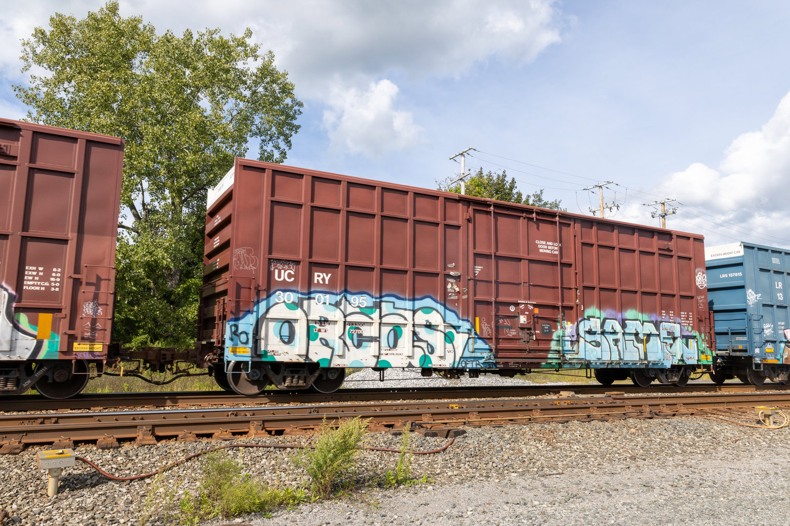 UCRY 300195