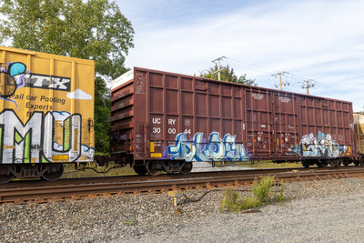 UCRY 300044