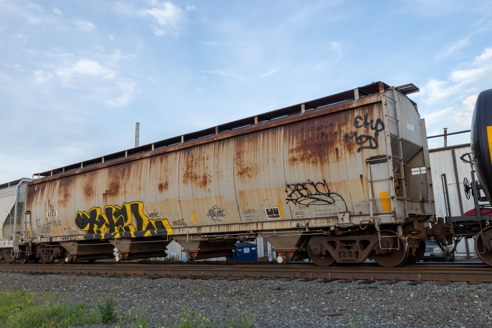 ASOX 890010